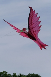 Bedford2019-002
