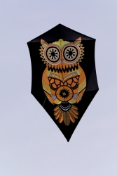 Bedford2019-009