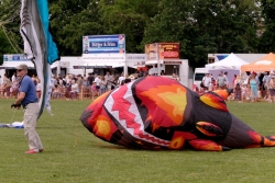 Bedford2019-014