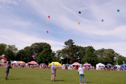 Bedford2019-057