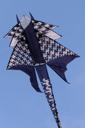 Bedford2019-063