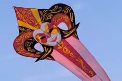 Bedford2019-064