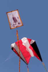 Bedford2019-066
