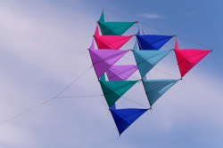 Bedford2019-077
