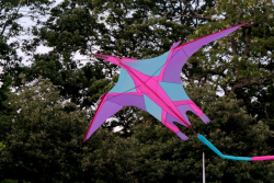 Bedford2019-083