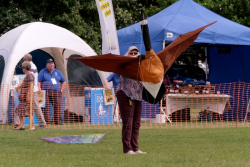 Bedford2019-092