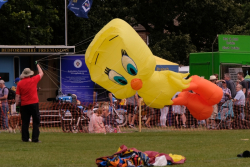 Bedford2019-123