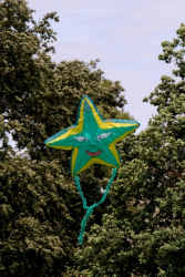 Bedford2019-146