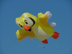 Berck2006-012