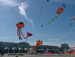 Berck2006-029