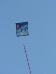 Berck2006-031