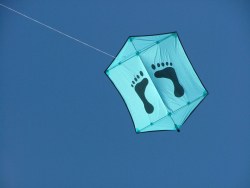 Berck2006-038