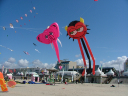 Berck2006-044