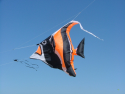 Berck2006-052