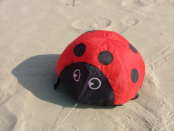 Berck2006-069