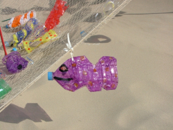 Berck2006-075
