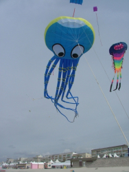 Berck2006-099