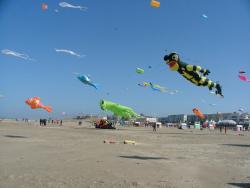 Berck2006-107