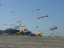 Berck2006-108