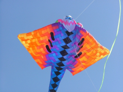 Berck2006-115