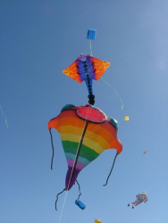Berck2006-116