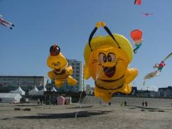 Berck2006-118