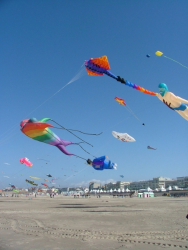 Berck2006-122