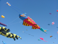 Berck2006-131
