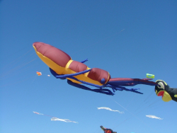 Berck2006-132