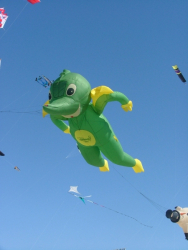 Berck2006-137