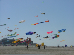 Berck2006-154