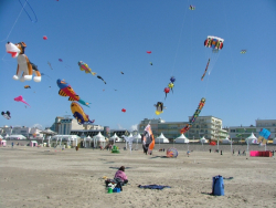 Berck2006-156