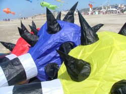 Berck2006-158