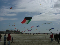 Berck2006-163