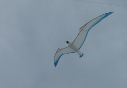 Berck2006-225