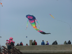 Berck2006-228