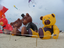 Berck2006-229