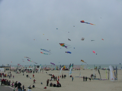 Berck2006-238