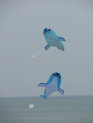 Berck2006-239