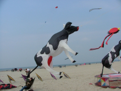 Berck2007-005