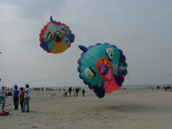 Berck2007-009