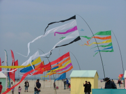 Berck2007-010