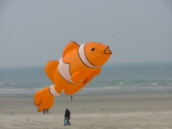 Berck2007-025