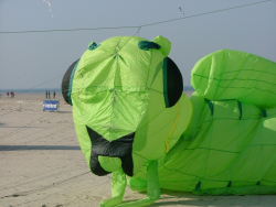 Berck2007-060