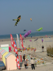 Berck2007-061
