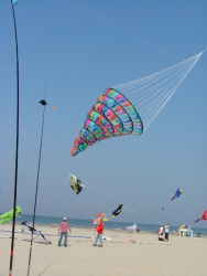 Berck2007-065