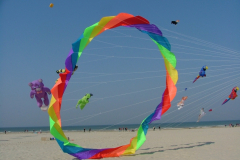 Berck Sur Mer - 2007-04-02