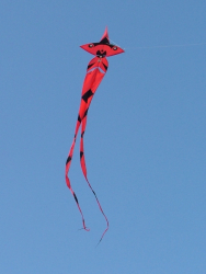 Berck2007-068