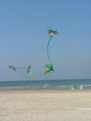 Berck2007-074