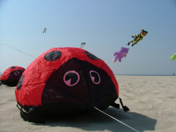 Berck2007-076
